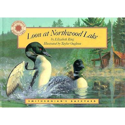 Loon at Northwood Lake (Smithsonian's Backyard)