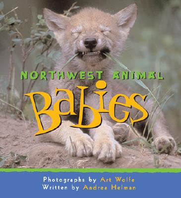 Image for Northwest Animal Babies Northwest Animal Babies