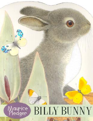 Billy Bunny Board Book