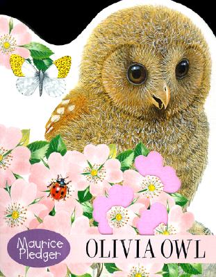 Olivia Owl Board Book