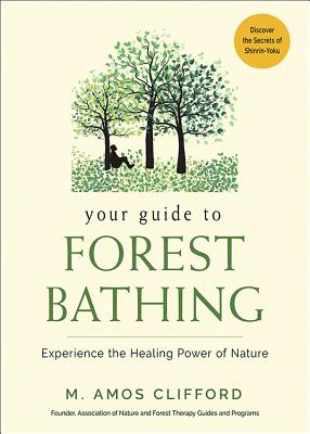 Image for Your Guide to Forest Bathing: Experience the Healing Power of Nature
