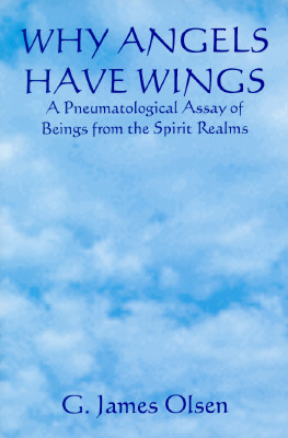 Image for Why Angles Have Wings: A Pneumatological Assay of Beings of the Spirit Realms