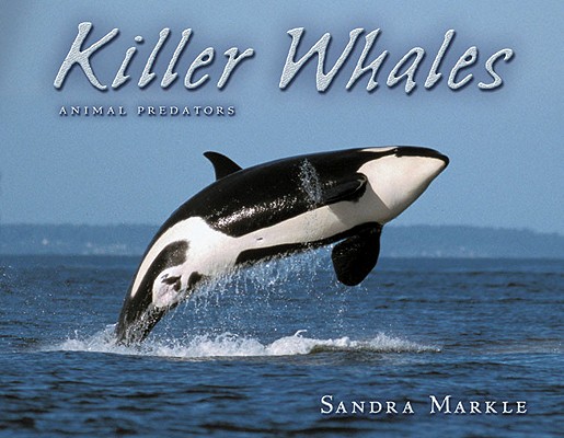 Image for Killer Whales (Animal Predators) Killer Whales (Animal Predators)