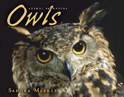 Owls (Animal Predators)