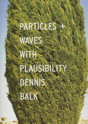 Particles + Waves With Plausibility