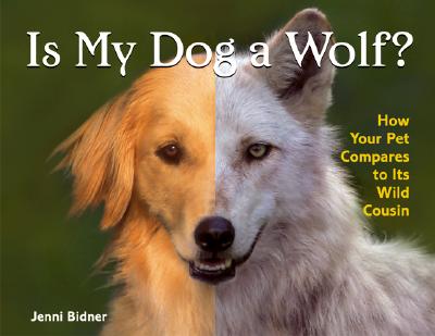 Is My Dog a Wolf: How Your Pet Compares to Its Wild Cousin