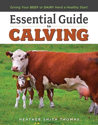 Essential Guide to Calving