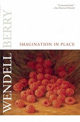 Image for Imagination in Place