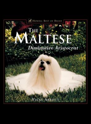 The Maltese : Diminutive Aristocrat