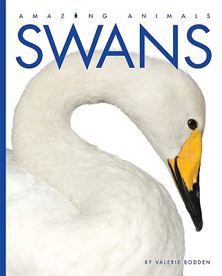 Image for Swans (Amazing Animals (Creative Education Hardcover)) Swans (Amazing Animals (Creative Education Hardcover))