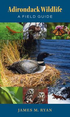 Adirondack Wildlife: A Field Guide