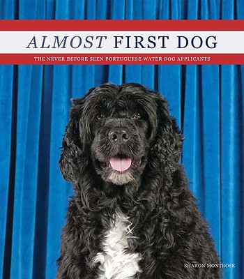 Almost First Dog: The Secret Rejected Portuguese Water Dog Applications
