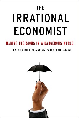 Image for The Irrational Economist: Making Decisions in a Dangerous World The Irrational Economist: Making Decisions in a Dangerous World