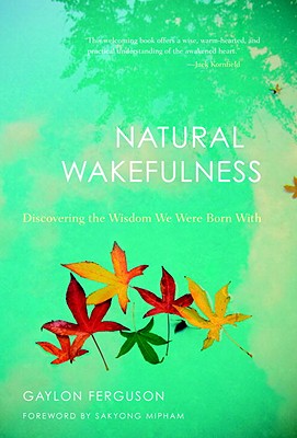 Image for Natural Wakefulness: Discovering the Wisdom We Were Born With Natural Wakefulness: Discovering the Wisdom We Were Born With