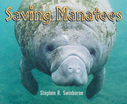 Image for Saving Manatees Saving Manatees