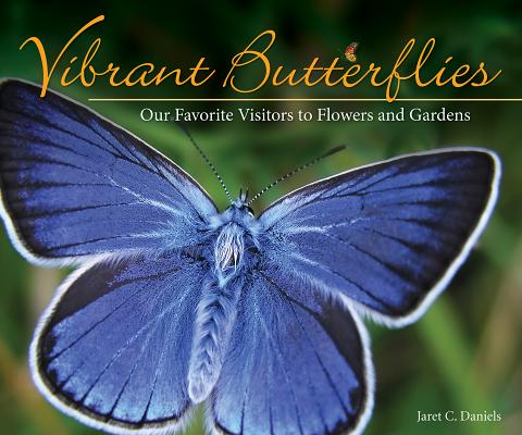 Vibrant Butterflies: Our Favorite Visitors to Flowers and Gardens (Nature Appreciation)