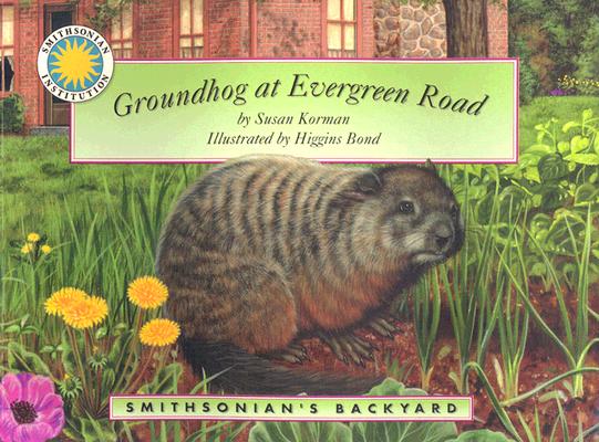 Groundhog at Evergreen Road - a Smithsonian's Backyard Book