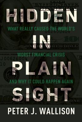 Image for Hidden in Plain Sight: What Really Caused the World?s Worst Financial Crisis and Why It Could Happen Again