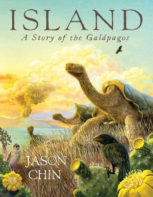 Image for Island: A Story of the Galpagos Island: A Story of the Galpagos