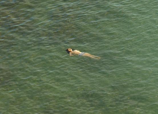 Richard Misrach: The Mysterious Opacity of Other Beings
