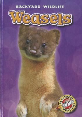 Weasels (Blastoff! Readers: Backyard Wildlife)