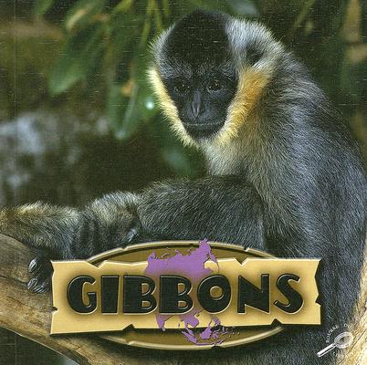 Gibbons (Amazing Apes (Discovery Library))