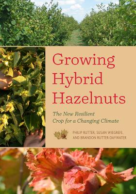 Growing Hybrid Hazelnuts The New Resilient Crop For A Changing Climate