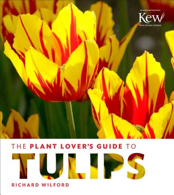 The Plant Lover's Guide To Tulips