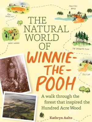 The World of Winnie-the-Pooh: Exploring the Magical Landscapes of the Hundred Acre Wood