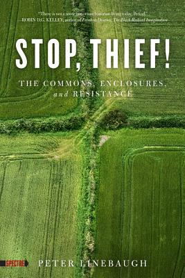 Image for Stop, Thief!: The Commons, Enclosures, and Resistance (Spectre)
