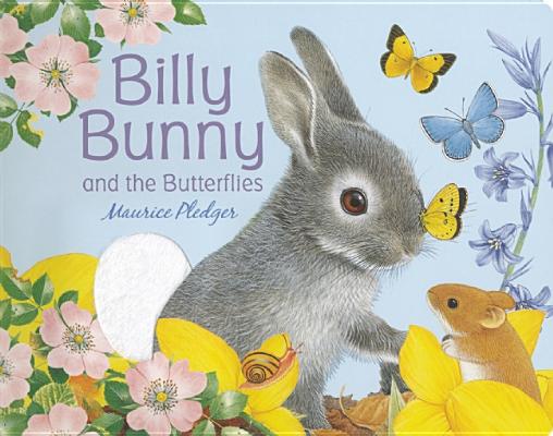 Billy Bunny and the Butterflies (Friendship Tales)