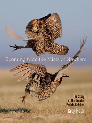 Booming from the Mists of Nowhere: The Story of the Greater Prairie-Chicken (Bur Oak Book)