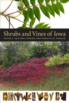 Shrubs and Vines of Iowa (Bur Oak Guide)
