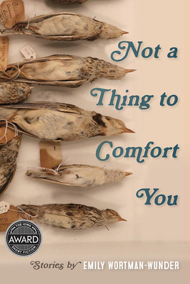 Not a Thing to Comfort You (Iowa Short Fiction Award)