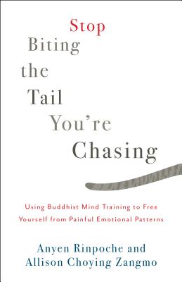 Stop Biting the Tail You're Chasing: Using Buddhist Mind Training to Free Yourself from Painful Emotional Patterns
