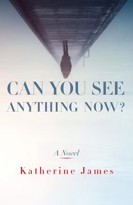 Image for Can You See Anything Now: A Novel (Paraclete Fiction) Can You See Anything Now: A Novel (Paraclete Fiction)