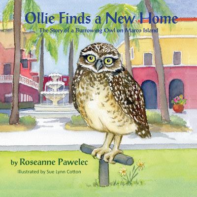 Image for Ollie Finds a New Home, The Story of a Burrowing Owl on Marco Island Ollie Finds a New Home, The Story of a Burrowing Owl on Marco Island