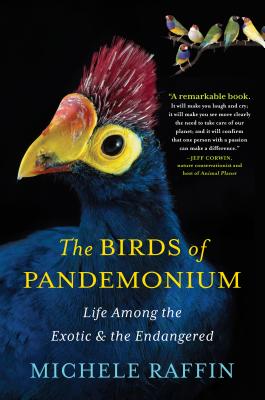 BIRDS OF PANDEMONIUM: LIFE AMONG THE EXOTIC & THE ENDANGERED
