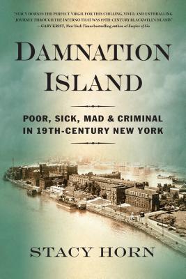 Image for Damnation Island: Poor, Sick, Mad, and Criminal in 19th-Century New York