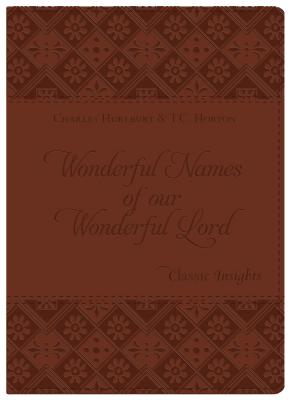 Image for The Wonderful Names of Our Wonderful Lord (Classic Insights) The Wonderful Names of Our Wonderful Lord (Classic Insights)