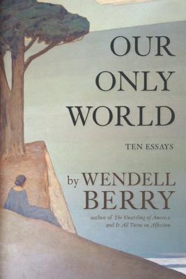 Image for Our Only World: Ten Essays