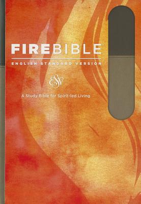 Image for ESV Fire Bible, Flexisoft (Red Letter, Imitation Leather, Slate/Charcoal): English Standard Version