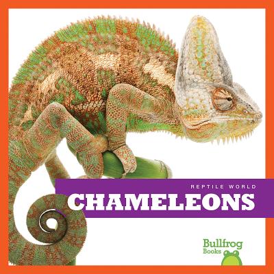 Chameleons (Bullfrog Books: Reptile World)