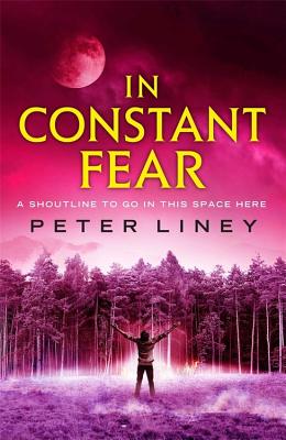 Image for In Constant Fear (The Detainee Trilogy (3)) In Constant Fear (The Detainee Trilogy (3))