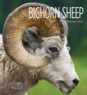 Image for Bighorn Sheep (Living Wild) Bighorn Sheep (Living Wild)