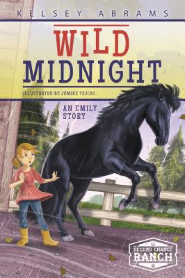Image for Wild Midnight (Second Chance Ranch) Wild Midnight (Second Chance Ranch)