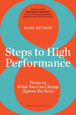 Image for 8 Steps to High Performance: Focus On What You Can Change (Ignore the Rest)