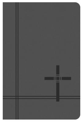 KJV Deluxe Gift Award Bible (Gray)