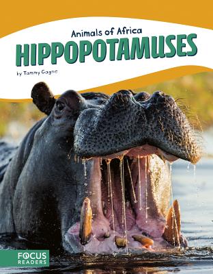 Hippopotamuses (Animals of Africa)