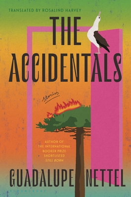 Accidentals: Stories